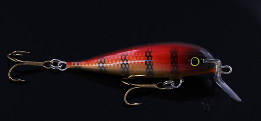 PP86