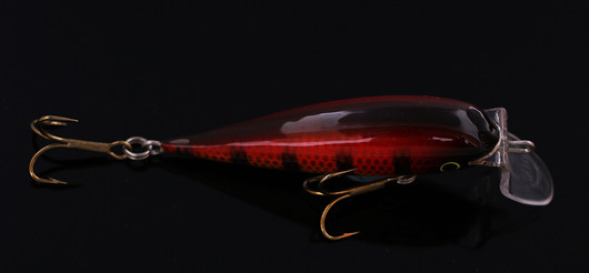 PP86