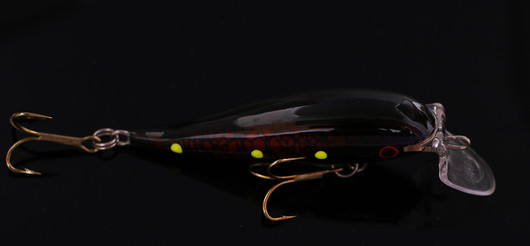 PP89