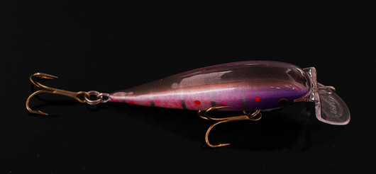PP91