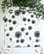 Vaunuverho - Daisy n.45x50