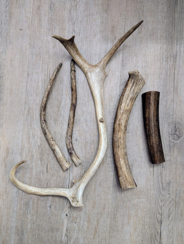 Kotimainen poronsarvi, vaadin/hirvas n. 155 g