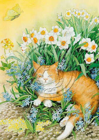 Postikortti A6 nro. 113