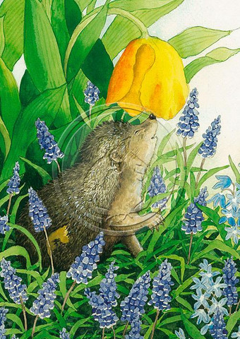 Postikortti A6 nro. 117