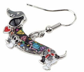 Korvakorut, mäyräkoira, värikäs, harmaa pää