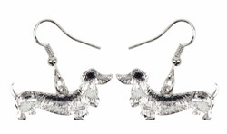 Korvakorut, mäyräkoira, värikäs, harmaa pää