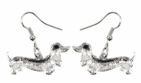 Korvakorut, mäyräkoira, värikäs, harmaa pää