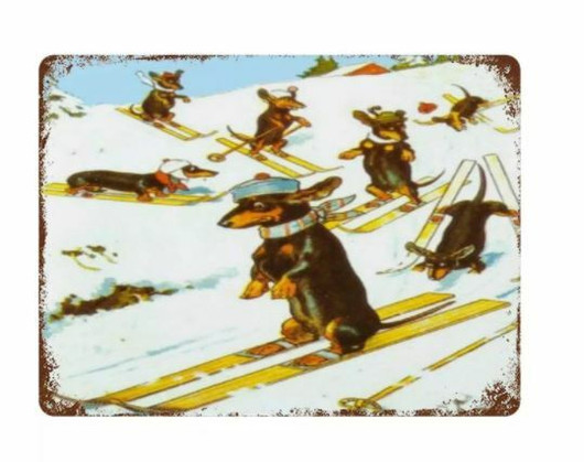 Metallikyltti mäyräkoira, 20x30 cm, mäyräkoirat suksilla