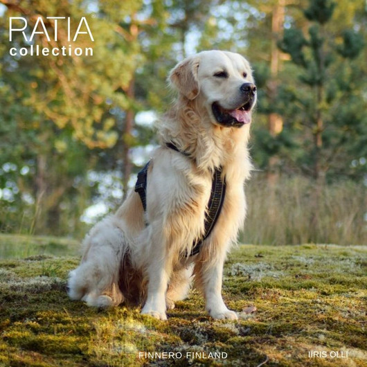 Finnero Ratia 8-shape valjas 40 cm, musta
