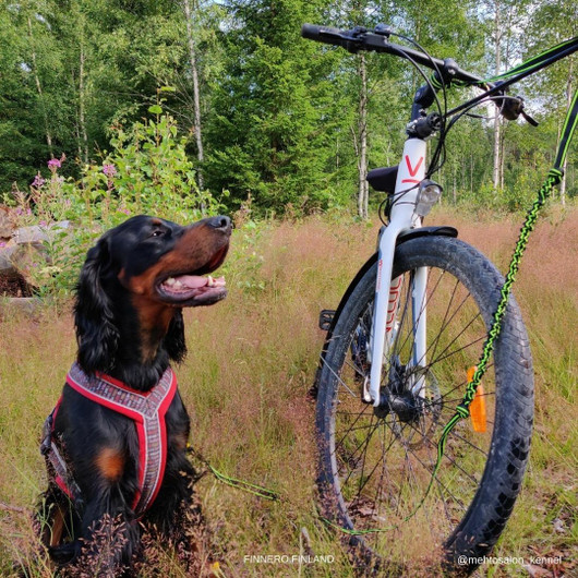 Finnero Ratia 8-shape valjas 40 cm, punainen