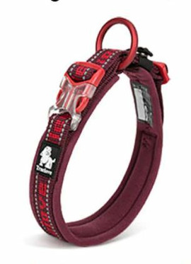 Truelove neopreenipanta pikalukolla, M, 40-45 cm, viininpunainen