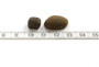 Essential THE BEGINNING, pennuille 10 kg