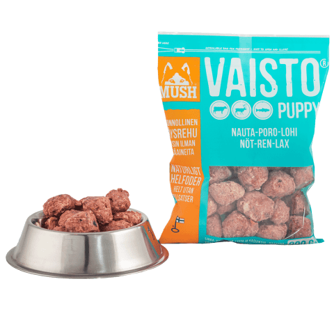 Mush Vaisto Puppy Jäänsininen, nauta-poro-lohi 800 g