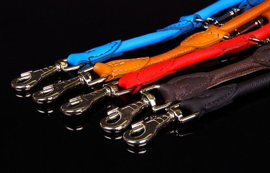 Zooleszcz nahkainen monitoimitalutin 6 mmx220 cm, vaaleansininen