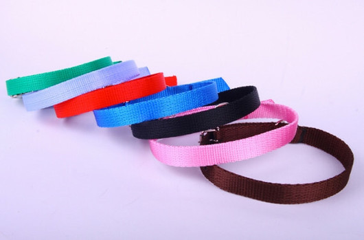 Zooleszcz nylonpanta 10 mmx30 cm, vaaleansisinen 