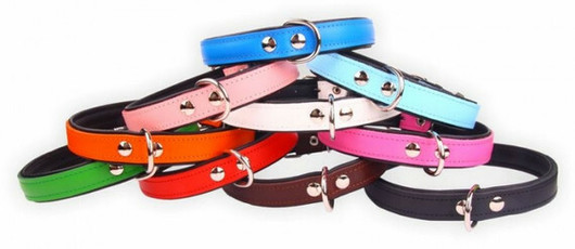 Zooleszcz nahkapanta 40 mmx75 cm, valkea-musta