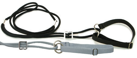 Topcanis näyttelytalutin kaulaimella 0,5x90 cm +panta, valkea