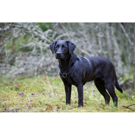 Rukka Form y-valjaat XS, vihreä