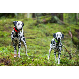 Rukka Bliss pistolukkopanta XS, neonkeltainen 