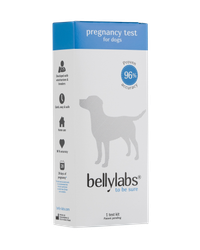 Bellylabs pikatiineystesti