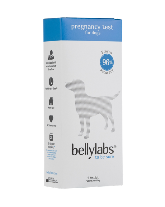 Bellylabs pikatiineystesti