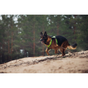 Rukka Form y-valjaat L, vihreä