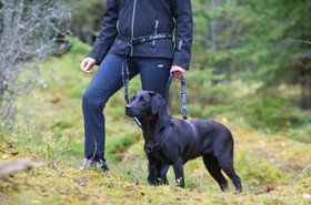 Rukka Hike Trail säädettävä joustotalutin M, 20 mm x 170-240 cm, musta-harmaa