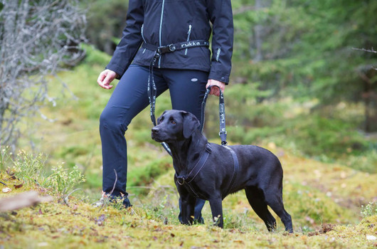 Rukka Hike Trail säädettävä joustotalutin M, 20 mm x 170-240 cm, musta-harmaa