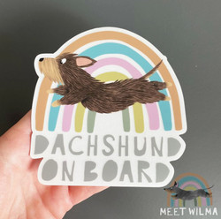 Tarra auton ikkunaan, kk mäyräkoira, 