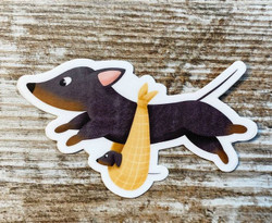 Lk mäyräkoira, tarra, pentu-uutisia