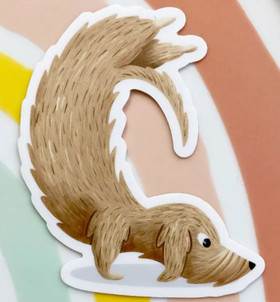 Kk mäyräkoira, tarra, etujaloilla seisonta