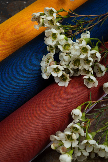 Coloretta