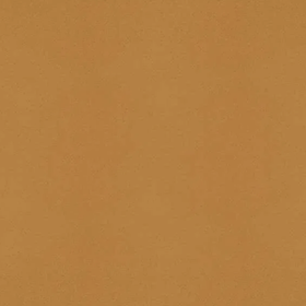 Sidra apple leather, curry