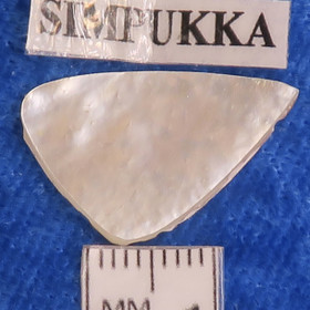 Kapussi helmiäinen 24x14mm kolmikulmainen cabochon