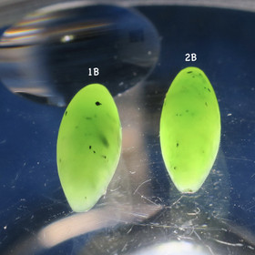 Nefriitti kapussi vihreä navette. Valitse nro B1-B3/ pussi nro5