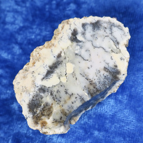  Dendriittiopaali 24g nro Hi77