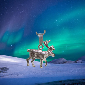 Hopeariipus  poro Petteri1