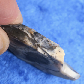 Dendriittiopaali siivu 10g 45x25x6mm toinen puoli sileä Hi77va11 