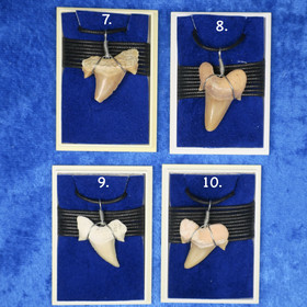 Riipus hain hammas liukusolmunauhassa 