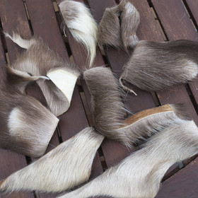 Porontaljan pala XS-koko. Aitoa suomalaista poronkarvaa