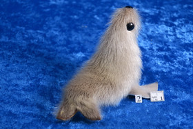 Norppa,  Ringed seal Norja keskikoko2