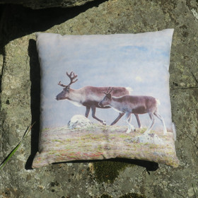 Tyyny porot kävelee tunturissa 30x30cm