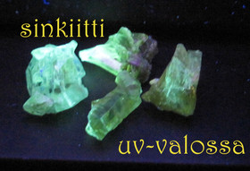 Sinkiitti raaka  Puola