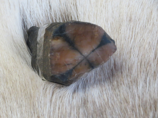 Kiastoliitti 6-7cm pitkä prisma 150-155g