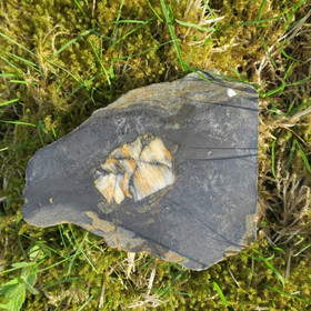 Kiastoliitti siivu 110x90x5-10mm 169g nro4 