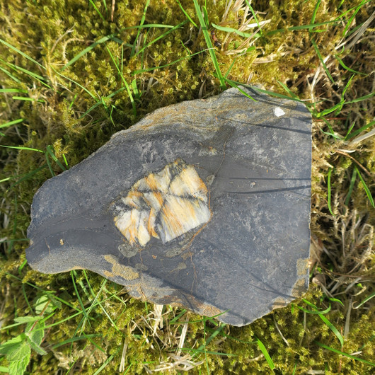 Kiastoliitti siivu 110x90x5-10mm 169g nro4 