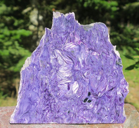 Tsharoiitti siivu 149g, 11cm, Extra laatua nro1