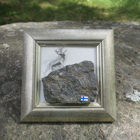 Taulu Poro kivellä, hopeoitu tinaporo kivellä