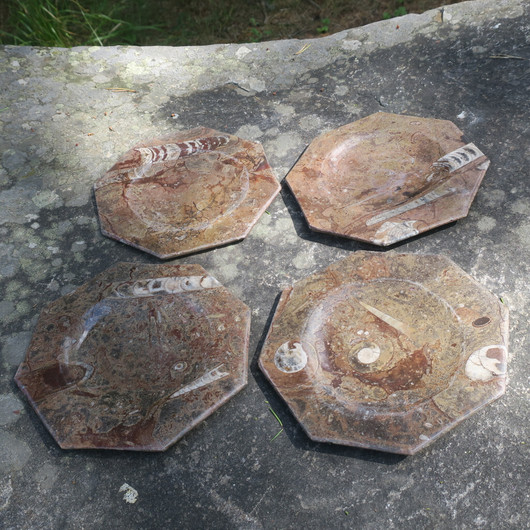 Lautanen fossiililautanen ammoniitteja ja oikosarvia, 8-kulmainen 19cm