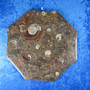 Lautanen fossiililautanen ammoniitteja ja oikosarvia, 8-kulmainen 19cm